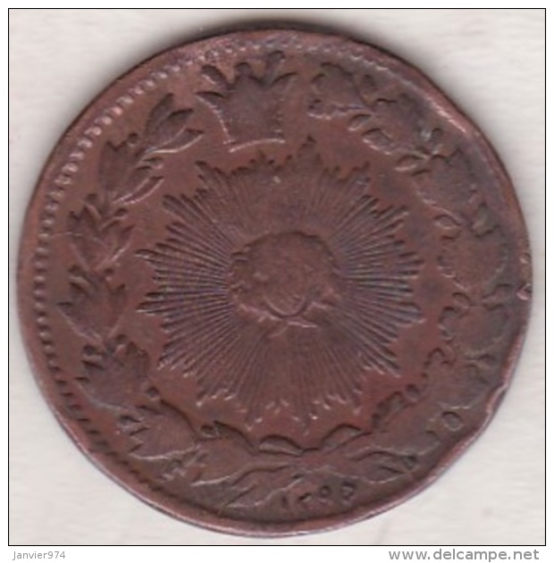 Iran. 50 Dinars AH 1295. Nasir Al-Din Shah. Copper. KM# 883. - Irán