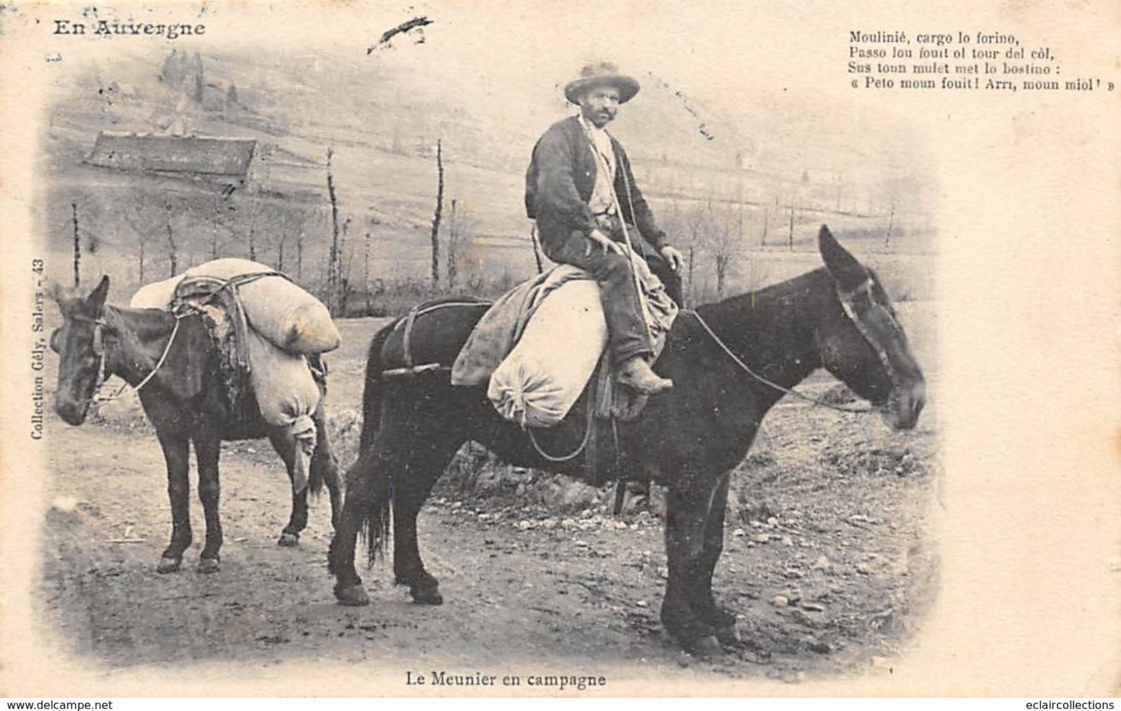 Métier:      Boulanger. Pâtisserie.     Auvergne  Salers    Le Meunier En Campagne Sur Son âne     (voir Scan) - Autres & Non Classés