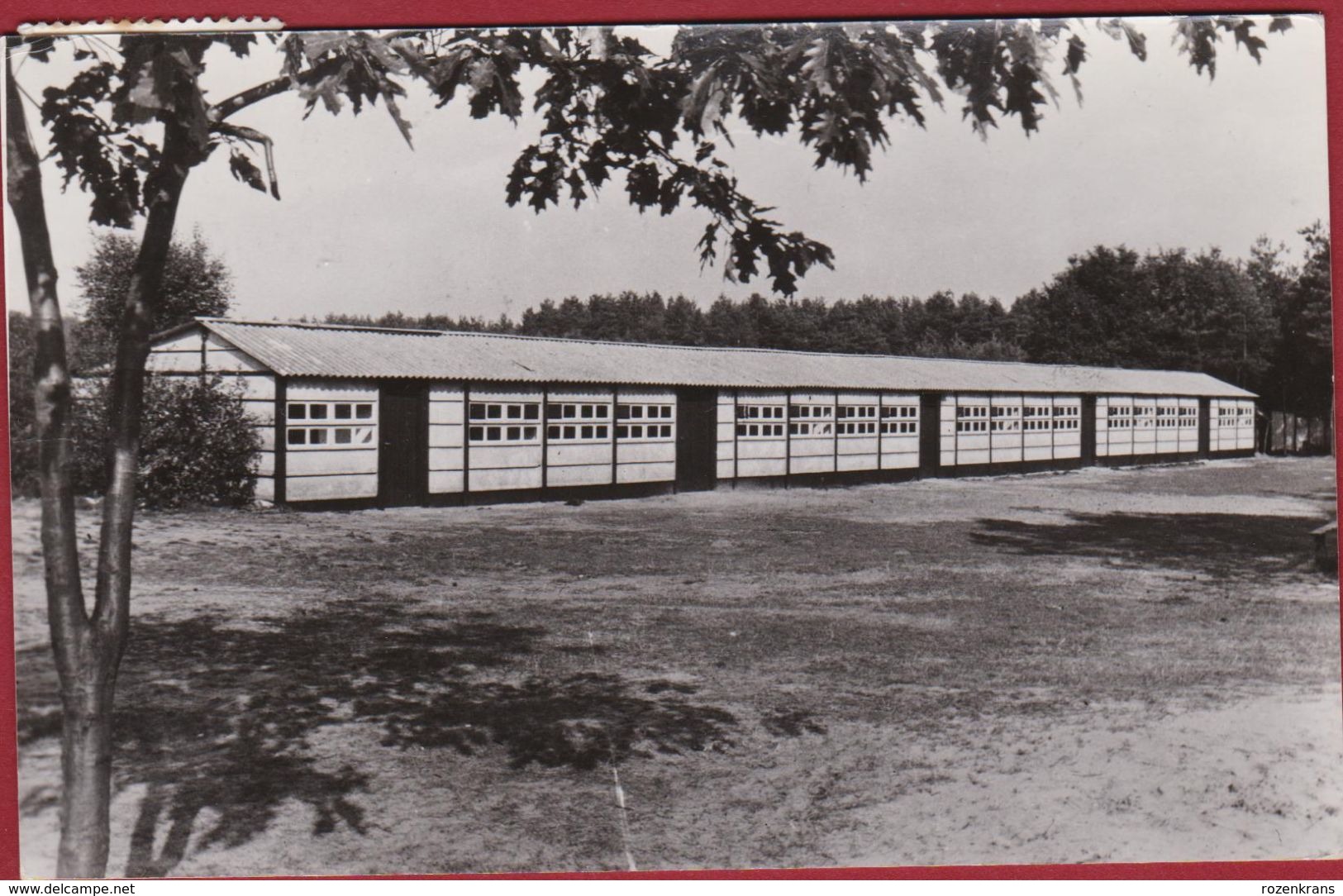 Opoeteren Maaseik Belgisch Limburg Heidedael Jeugverblijf Kamp 1975 Gruitrode Heidedal - Maaseik