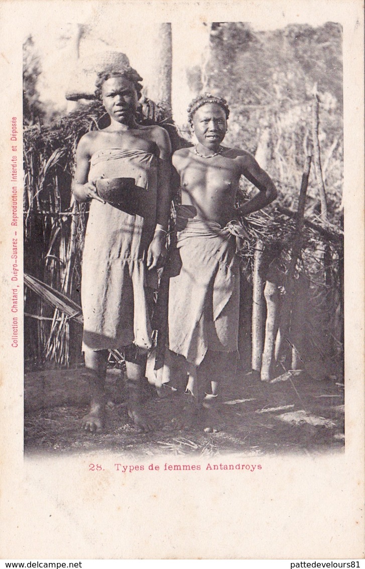 CPA AFRIQUE Types De Femmes Antandroys Nu Ethnologique Ethnie Eros Nude Collection Chatard - Afrique