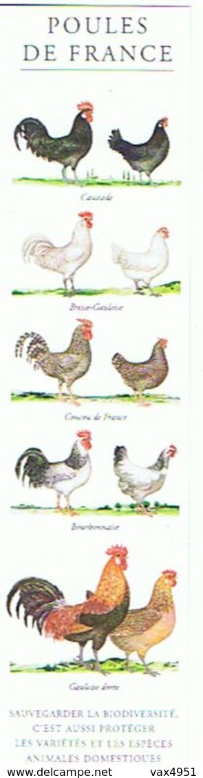 MARQUE PAGES POULES DE FRANCE      ***   A  SAISIR  ***** - Marque-Pages