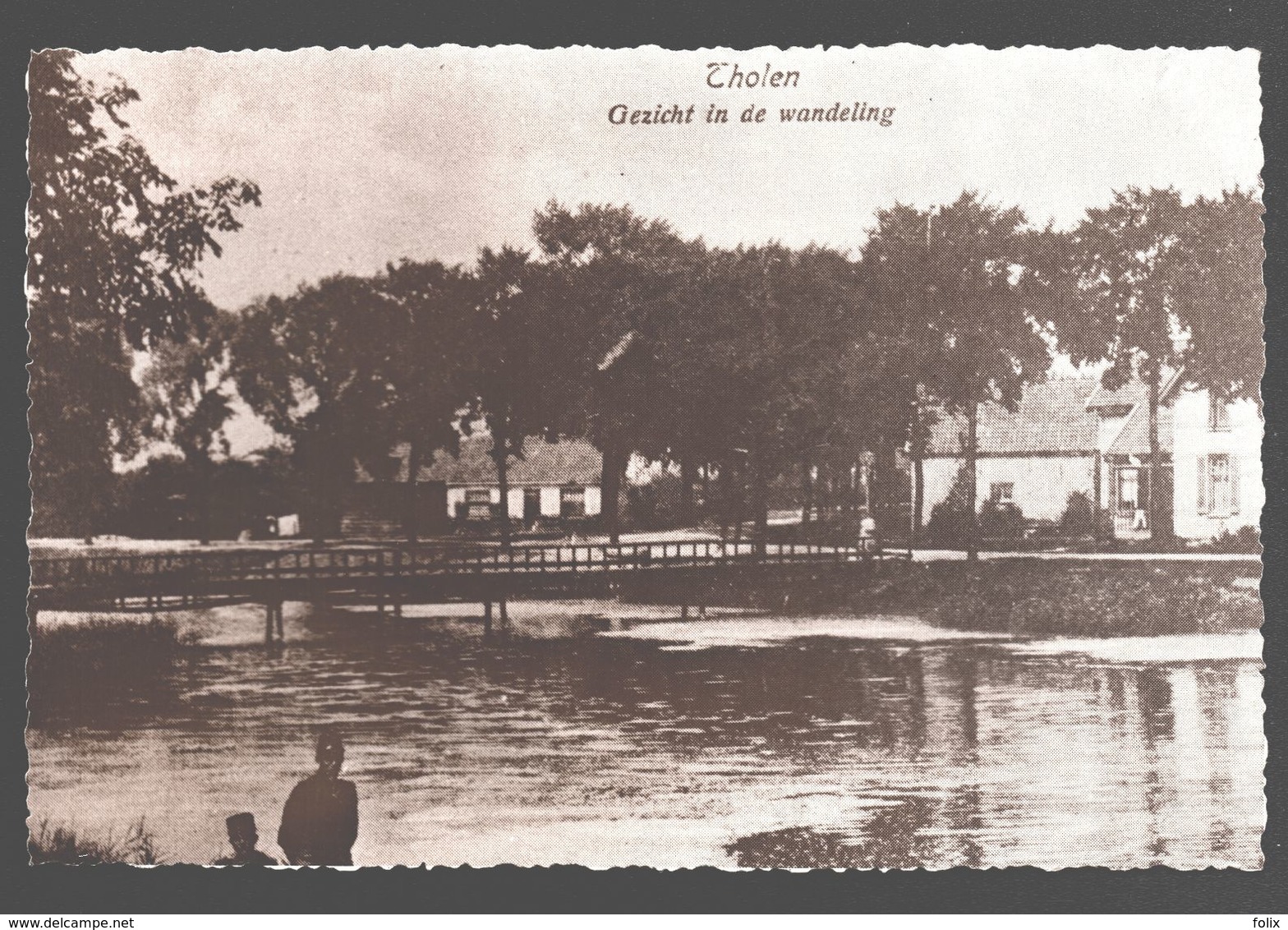 Tholen - Gezicht In De Wandeling - Echte Foto - Reproductie Oude Postkaart - Tholen