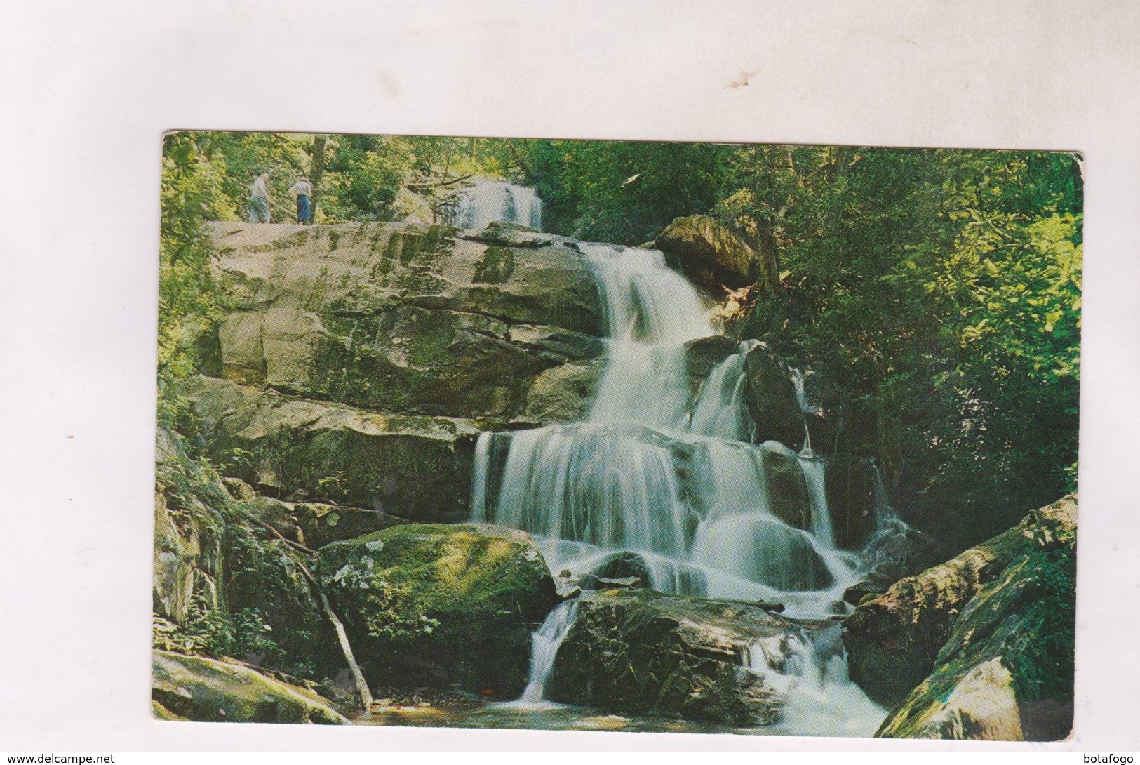 CPA LAUREL FALLS - Smokey Mountains