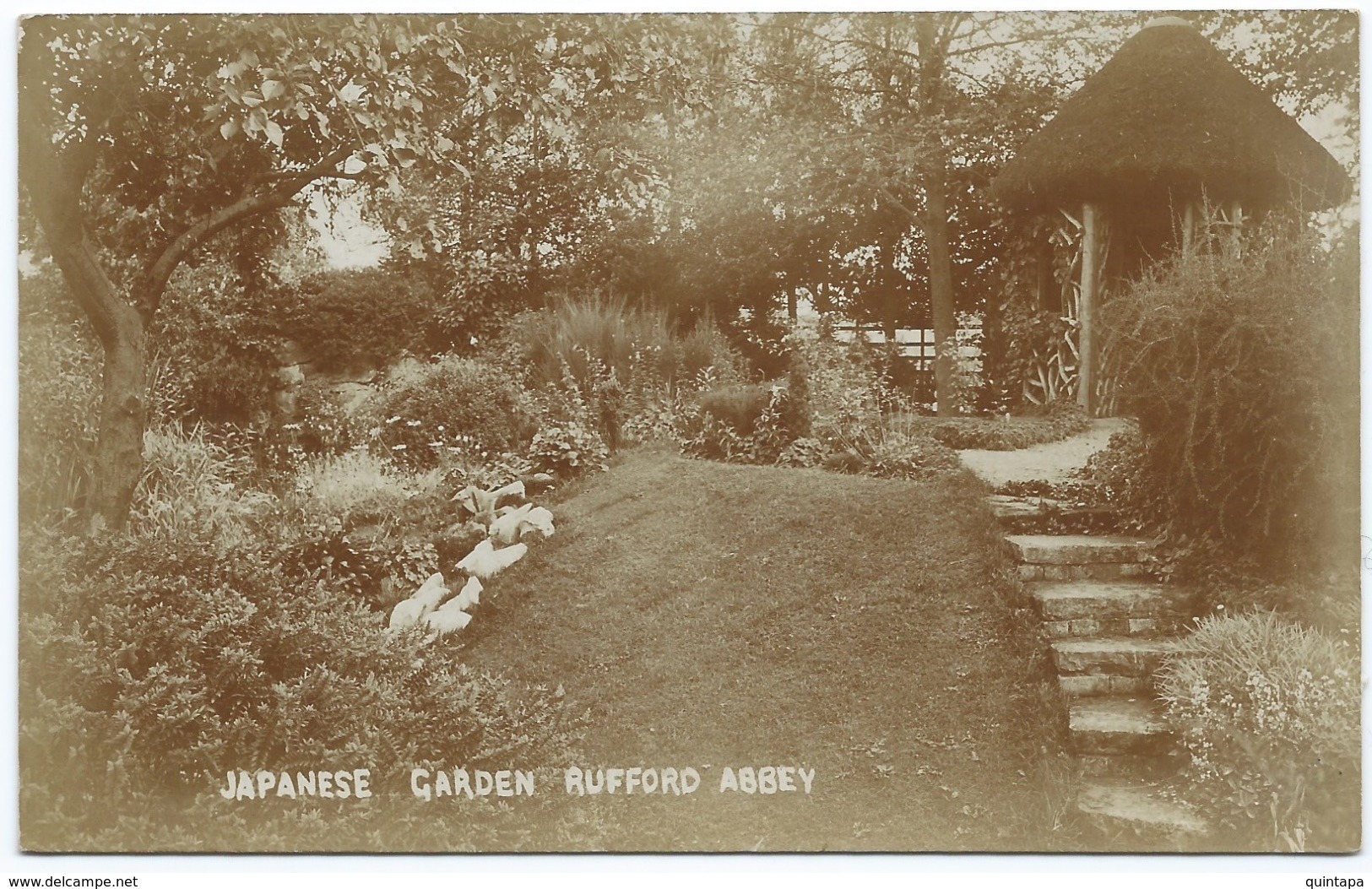 Angleterre - Japanese Garden Rufford Abbey - Autres & Non Classés