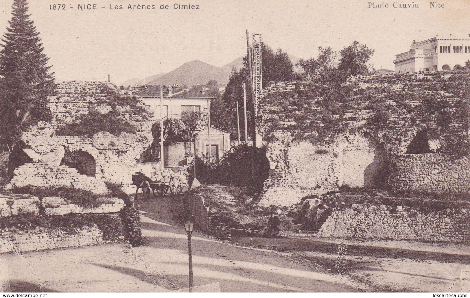 Nice Animee Les Arenes De Cimiez Attelage A Cheval Transport De Cailloux Pierres - Monuments, édifices