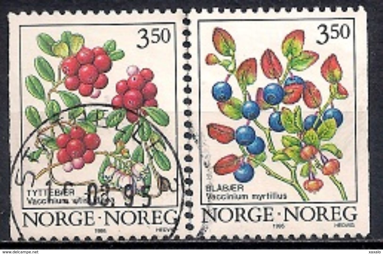Norway 1995 - Wood Berries - Usados