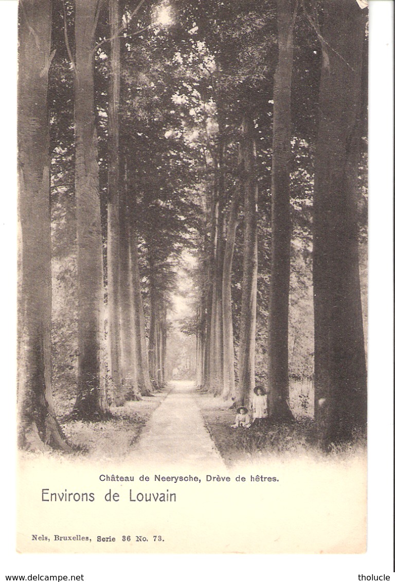 Environs De Louvain-Leuven-Château De Neerysche-Neerijse-Neeryssche (Huldenberg)+/-1900 (précurseur)-Drève Des Hêtres - Huldenberg