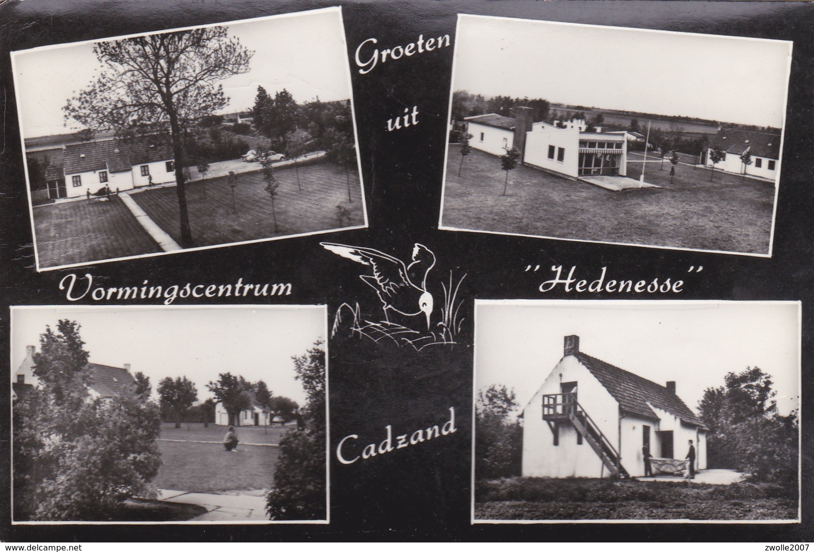 Postcard Groeten Uit Vormingscentrum 'Hedenesse' Cadzand - Cadzand