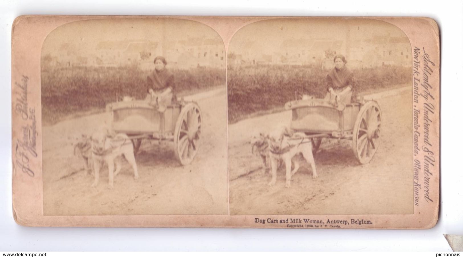 ANTWERP ANVERS Belgique Hondenkar Dog Cart Milk Woman Attelage De Chien Laitiere  Carte Stereoscopique - Stereo-Photographie