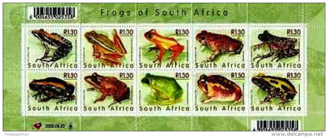 RSA, 2000, MNH Sheet Of Stamps  , SACC 1269, Junass Frogs, M9192 - Ongebruikt