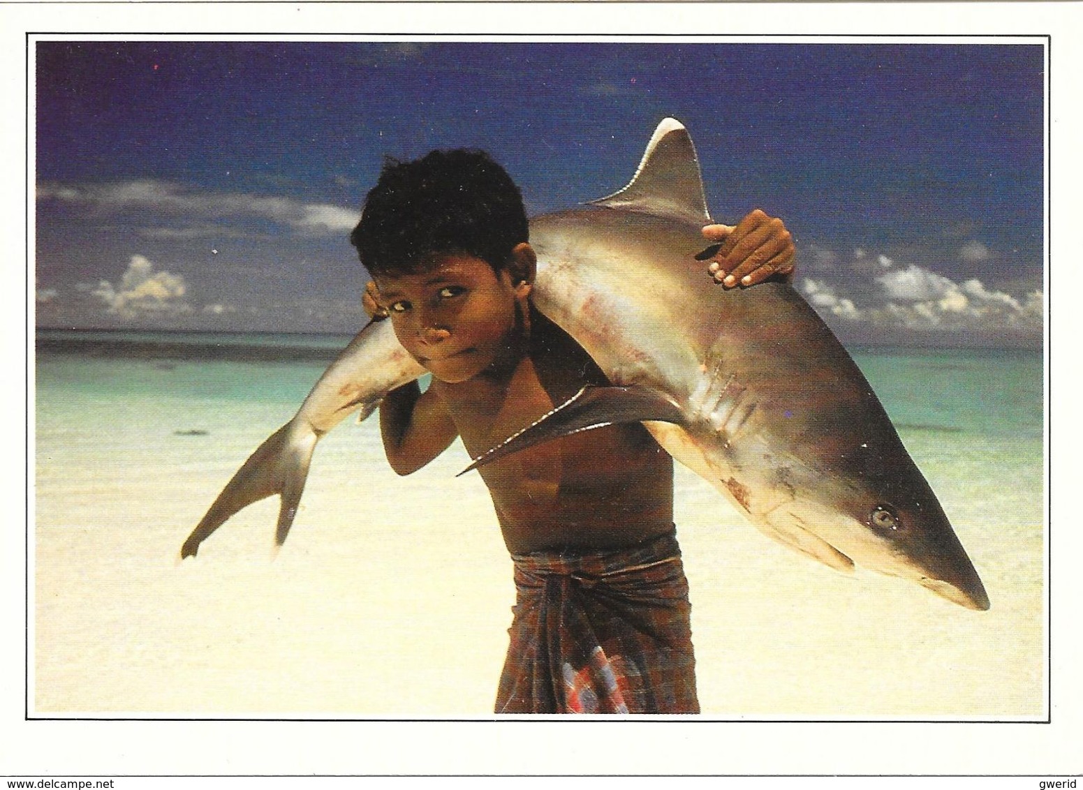 CARTE POSTALE - LES MALDIVES - Maldive