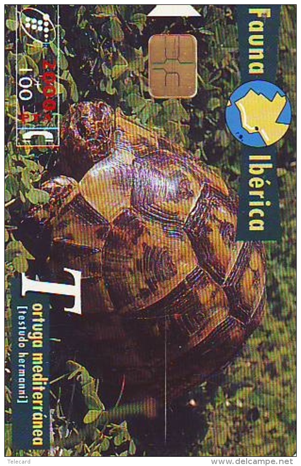 Télécarte  PUCE * SPAIN * ESPANA  (2337b) TORTUE *  TURTLE **  Phonecard - SCHILDKRÖTE * TELEFONKARTE - Turtles