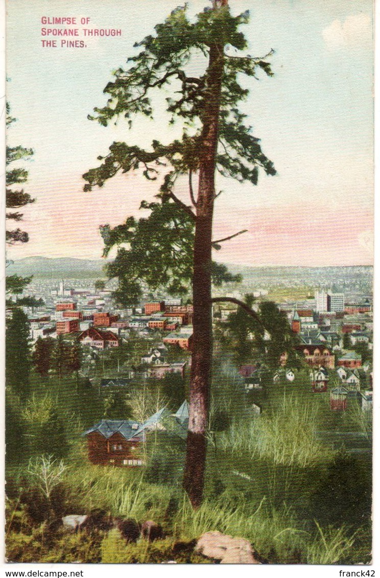 Etats Unis. Glimpse Of Spokane Through The Pines - Spokane