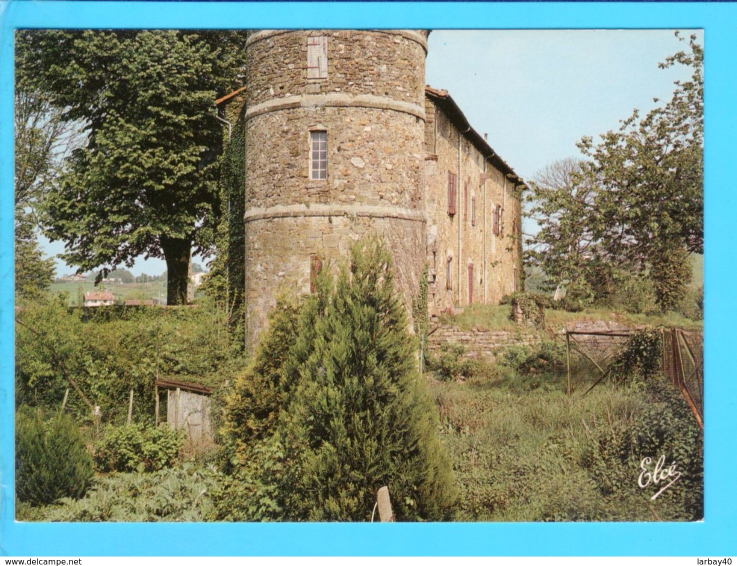 Cp Carte Postale - Espelette Vieux Chateau - Espelette