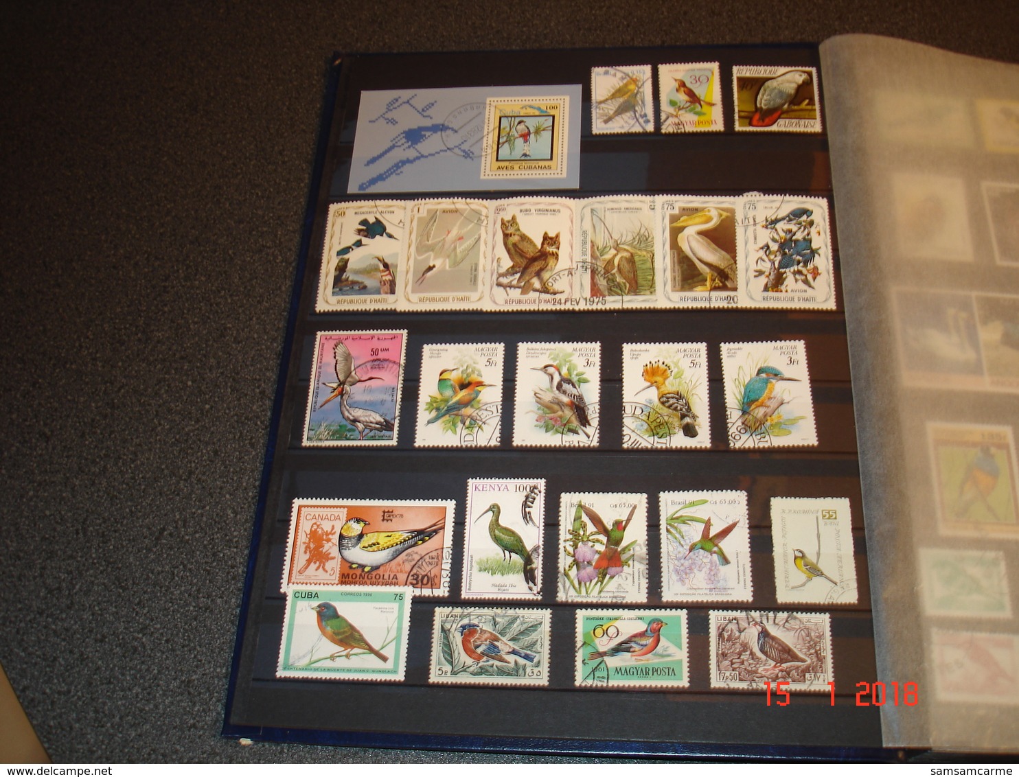 ALBUM CONTENANT BELLE COLLECTION DE TIMBRES SUR LES OISEAUX DANS LE MONDE - Collections (with Albums)