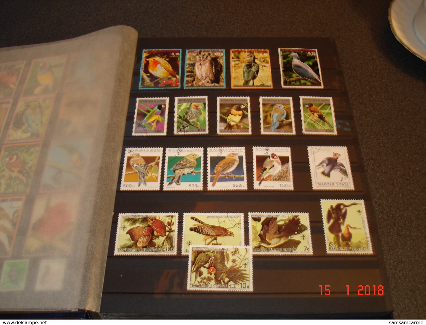 ALBUM CONTENANT BELLE COLLECTION DE TIMBRES SUR LES OISEAUX DANS LE MONDE - Collections (with Albums)