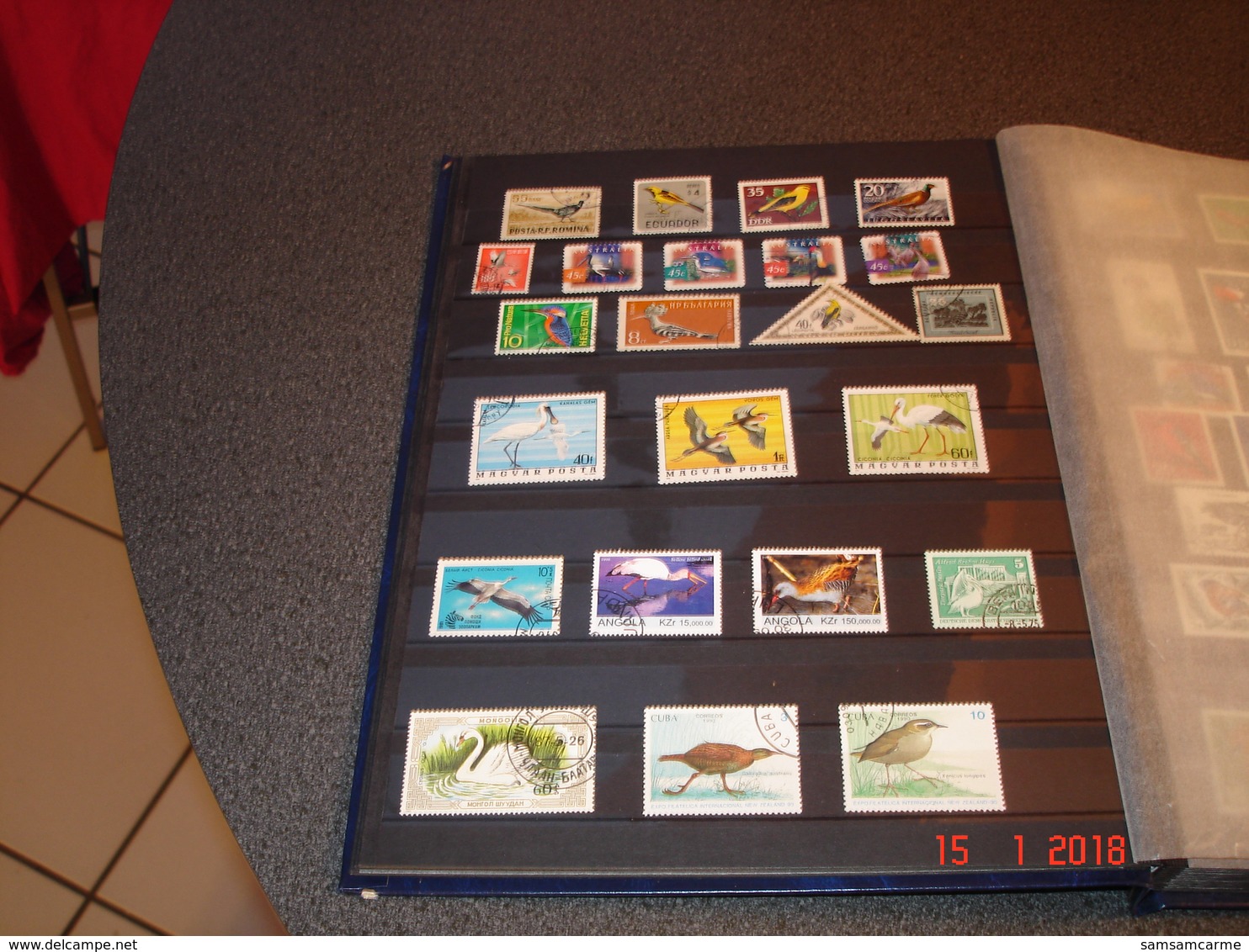 ALBUM CONTENANT BELLE COLLECTION DE TIMBRES SUR LES OISEAUX DANS LE MONDE