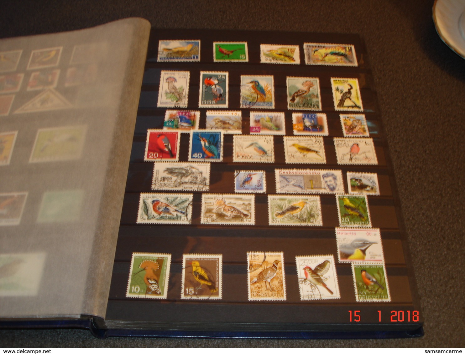 ALBUM CONTENANT BELLE COLLECTION DE TIMBRES SUR LES OISEAUX DANS LE MONDE