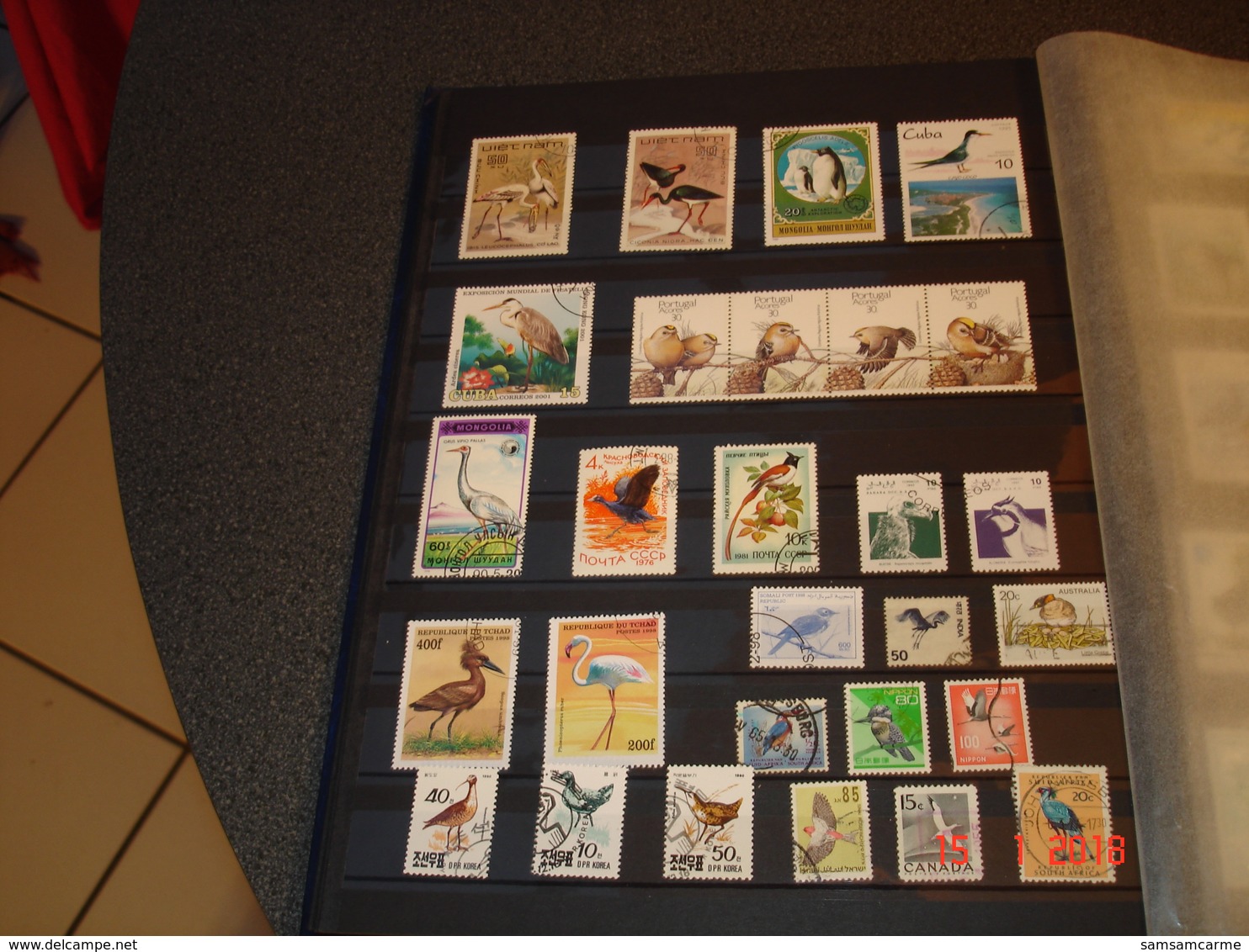 ALBUM CONTENANT BELLE COLLECTION DE TIMBRES SUR LES OISEAUX DANS LE MONDE