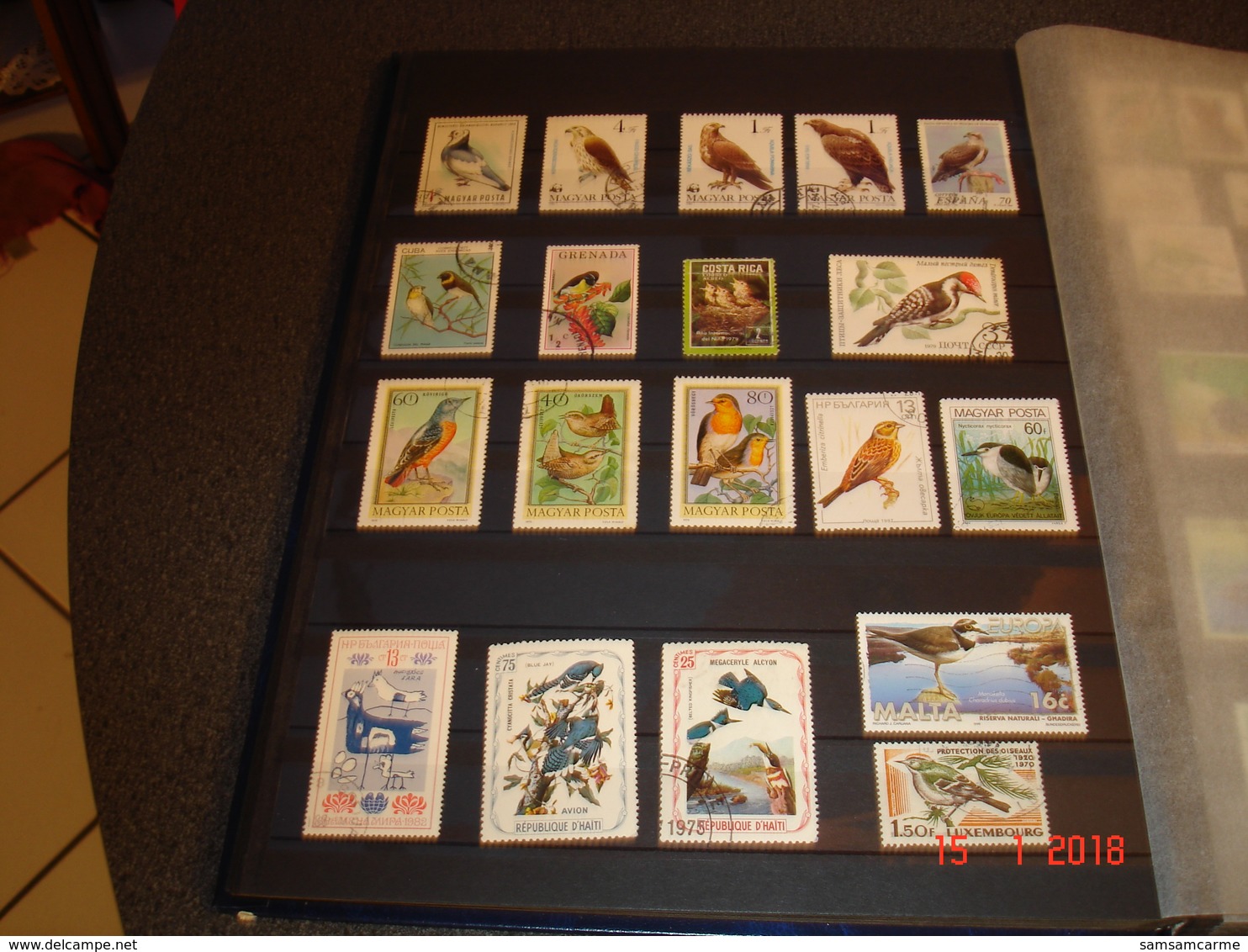 ALBUM CONTENANT BELLE COLLECTION DE TIMBRES SUR LES OISEAUX DANS LE MONDE