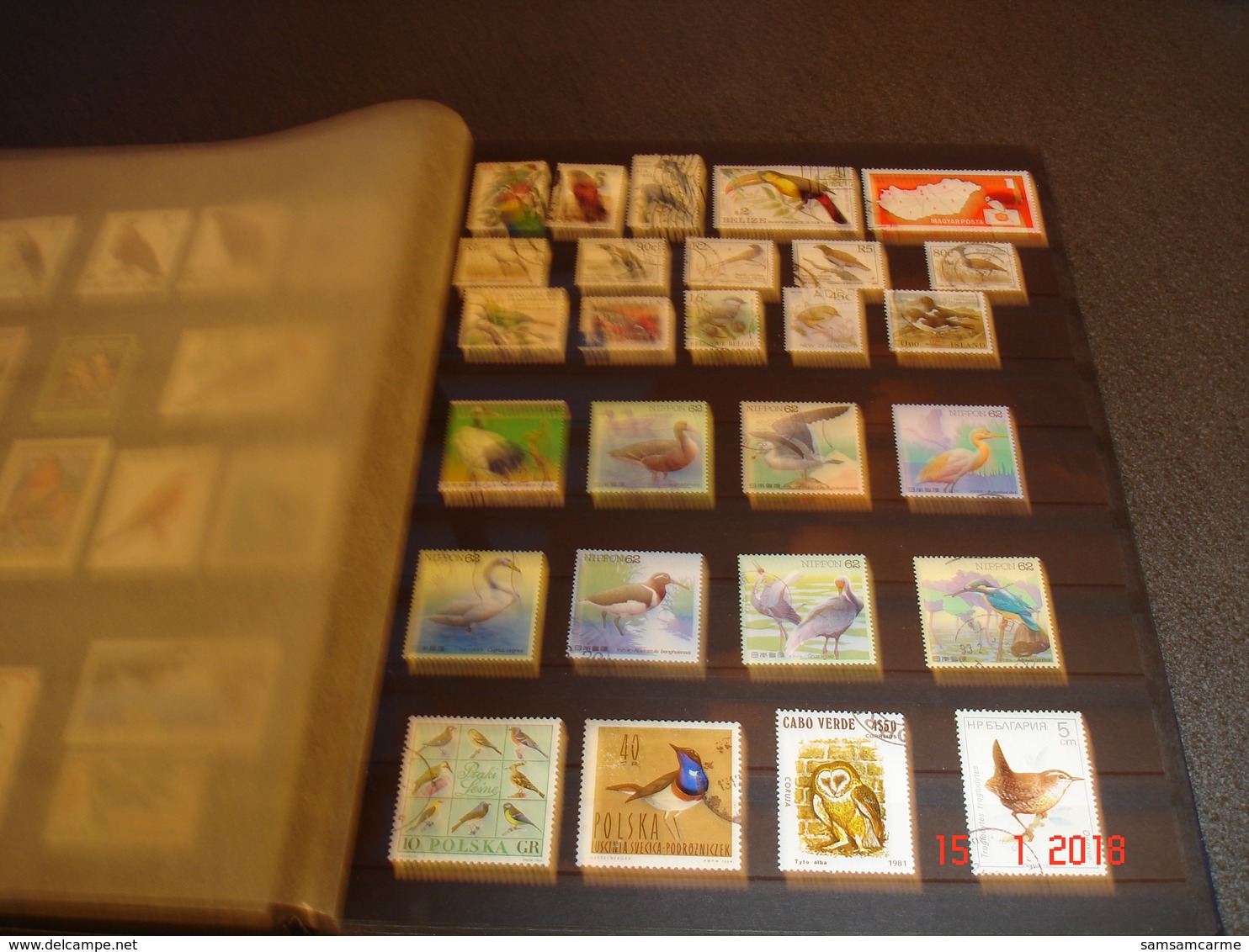 ALBUM CONTENANT BELLE COLLECTION DE TIMBRES SUR LES OISEAUX DANS LE MONDE