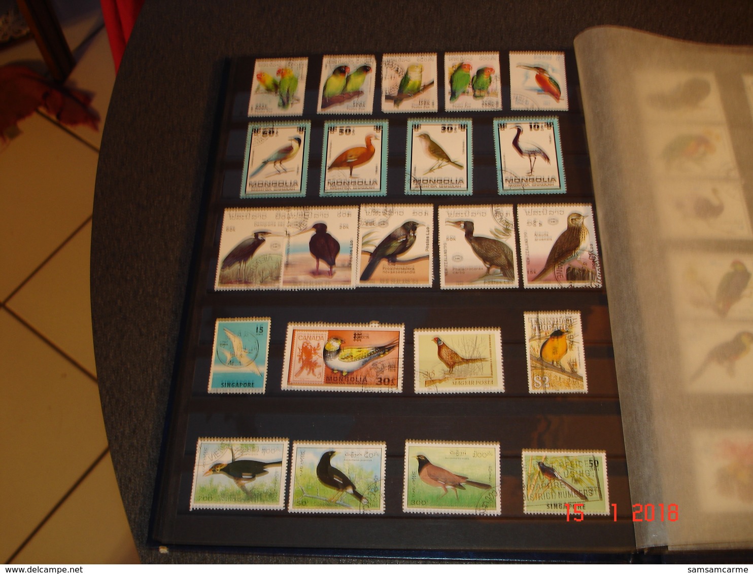 ALBUM CONTENANT BELLE COLLECTION DE TIMBRES SUR LES OISEAUX DANS LE MONDE