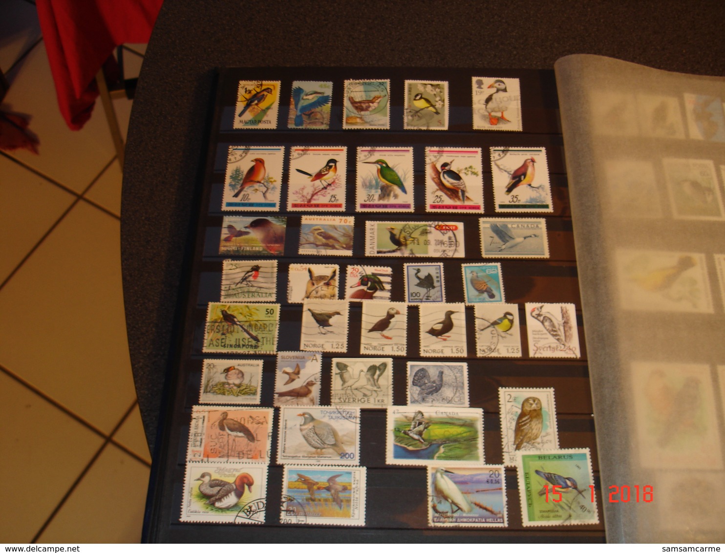 ALBUM CONTENANT BELLE COLLECTION DE TIMBRES SUR LES OISEAUX DANS LE MONDE