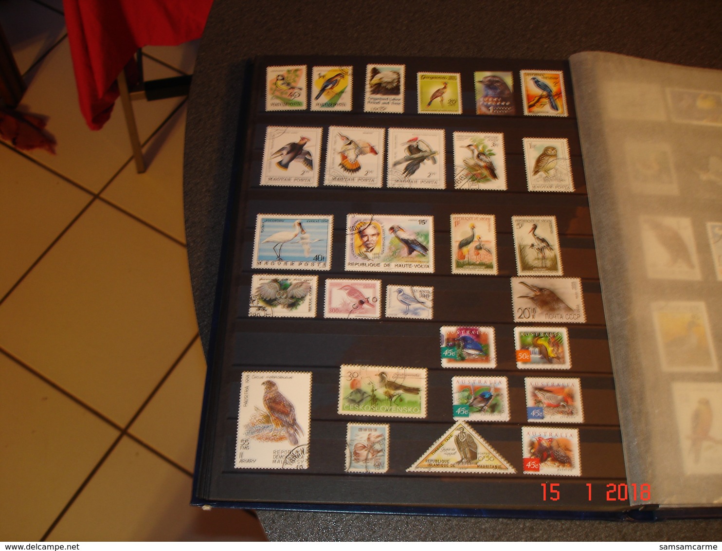 ALBUM CONTENANT BELLE COLLECTION DE TIMBRES SUR LES OISEAUX DANS LE MONDE