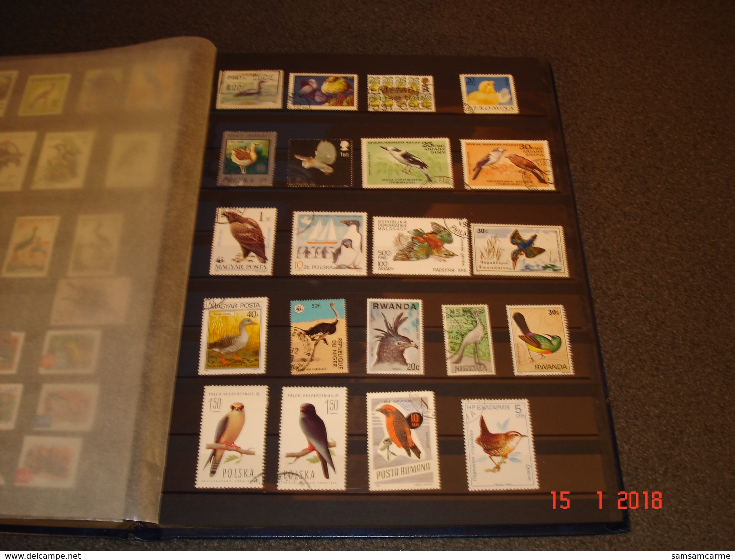 ALBUM CONTENANT BELLE COLLECTION DE TIMBRES SUR LES OISEAUX DANS LE MONDE