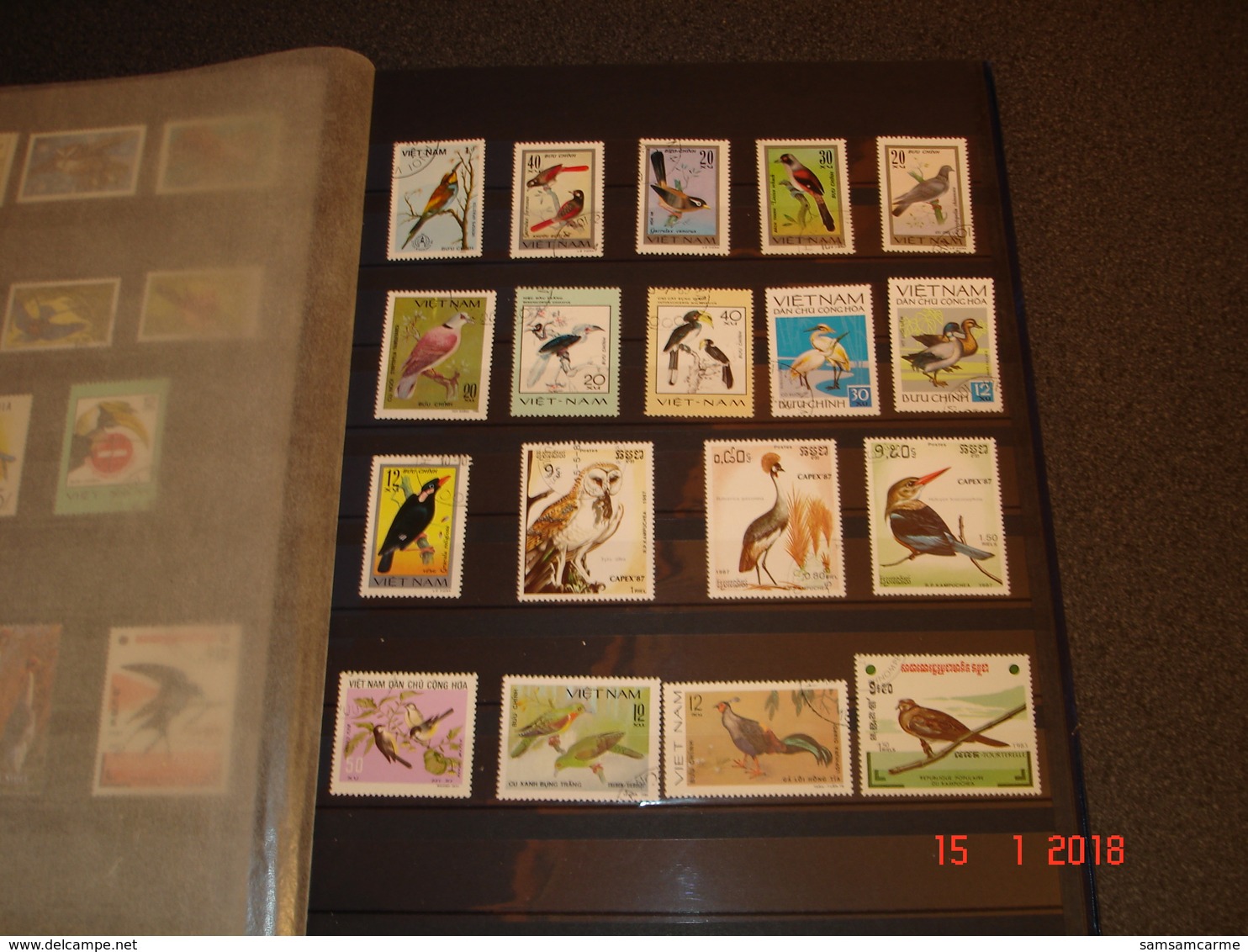 ALBUM CONTENANT BELLE COLLECTION DE TIMBRES SUR LES OISEAUX DANS LE MONDE