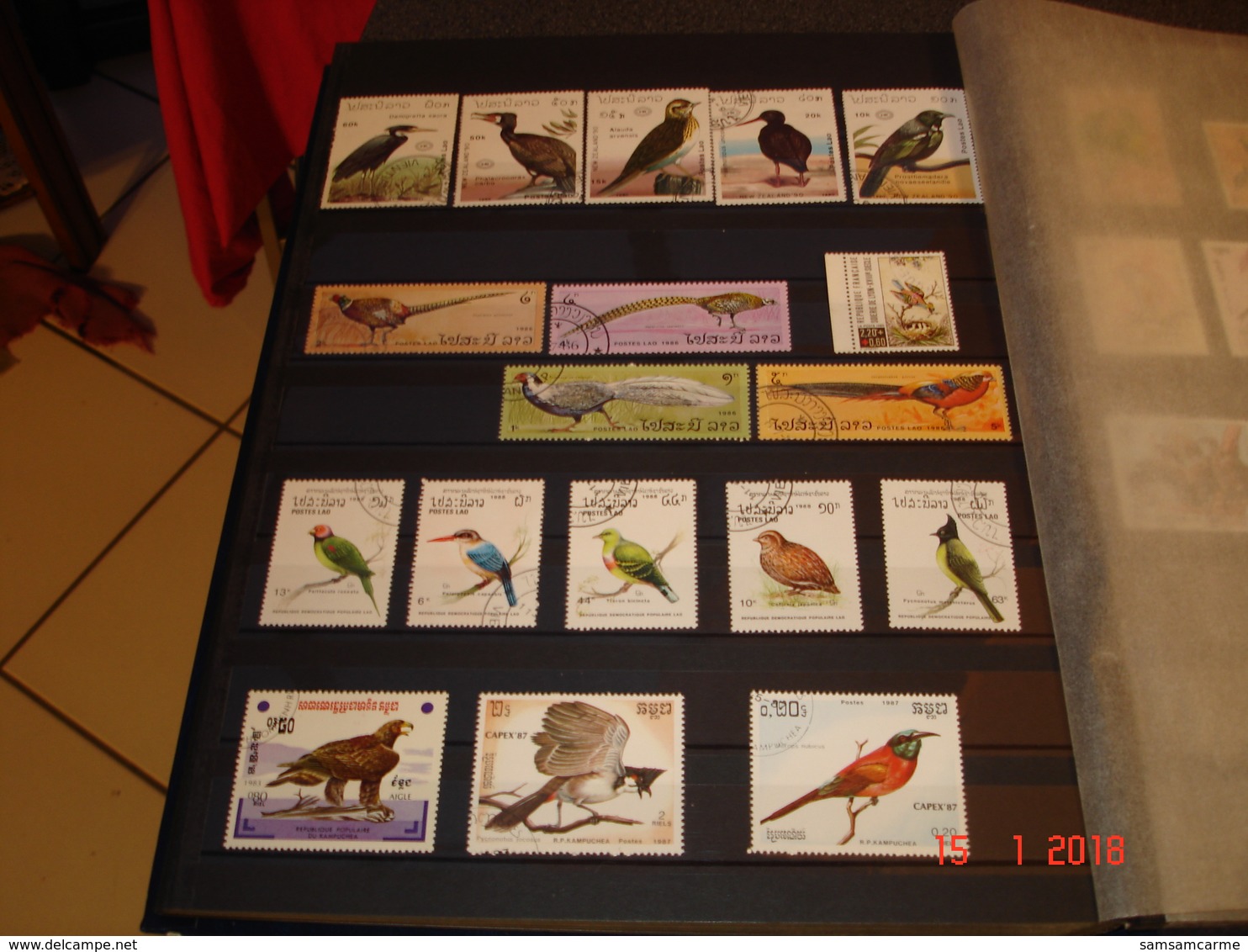 ALBUM CONTENANT BELLE COLLECTION DE TIMBRES SUR LES OISEAUX DANS LE MONDE