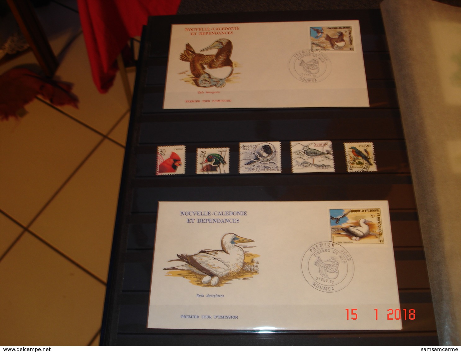 ALBUM CONTENANT BELLE COLLECTION DE TIMBRES SUR LES OISEAUX DANS LE MONDE