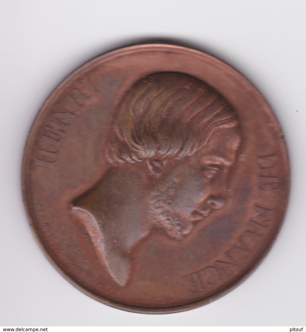 Curieuse Médaille (de Mariage?) Henri De France (Henri V) Réalisée Par Gayrard à Prague En 1842 - Royaux / De Noblesse