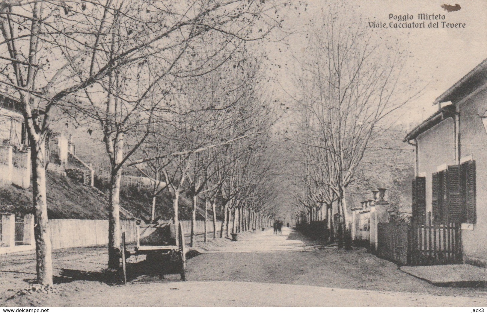 Cartolina - Poggio Mirteto - Viale Cacciatori Del Tevere - Rieti