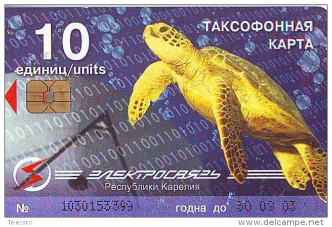 Télécarte * GREECE  (2366) TORTUE * TURTLE *  Phonecard * SCHILDKRÖTE * TELEFONKARTE - Turtles