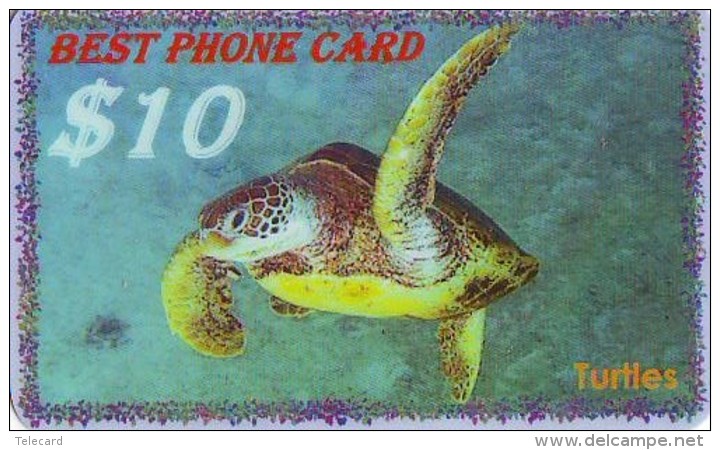 Télécarte * USA  (2367) TORTUE * TURTLE *  Phonecard * SCHILDKRÖTE * TELEFONKARTE - Schildpadden
