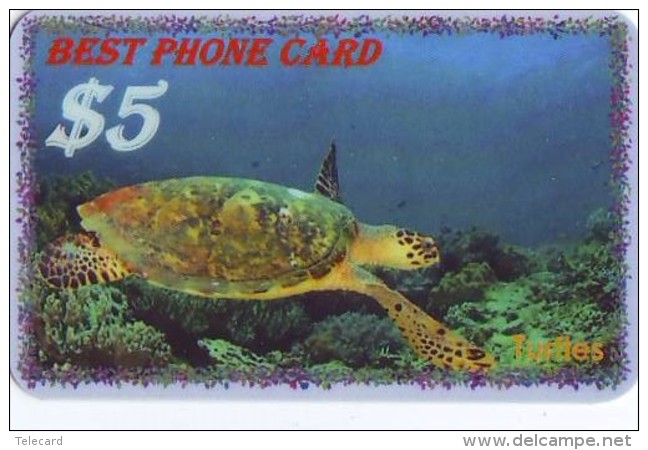 Télécarte * USA  (2368) TORTUE * TURTLE *  Phonecard * SCHILDKRÖTE * TELEFONKARTE - Schildpadden