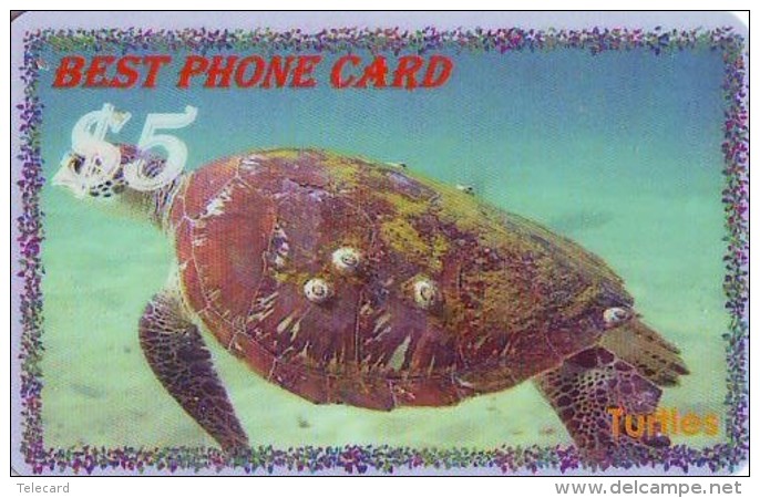 Télécarte * USA  (2369) TORTUE * TURTLE *  Phonecard * SCHILDKRÖTE * TELEFONKARTE - Schildpadden