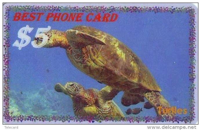 Télécarte * USA  (2370) TORTUE * TURTLE *  Phonecard * SCHILDKRÖTE * TELEFONKARTE - Turtles