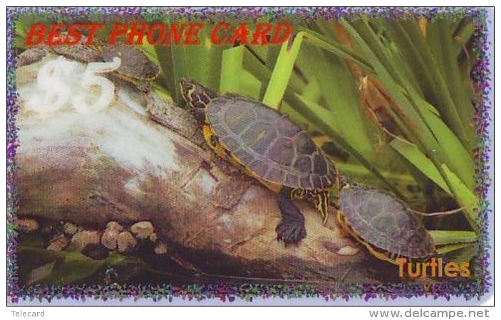 Télécarte * USA  (2371) TORTUE * TURTLE *  Phonecard * SCHILDKRÖTE * TELEFONKARTE - Turtles