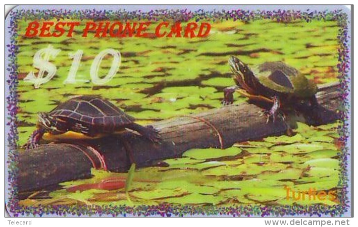 Télécarte * USA  (2372) TORTUE * TURTLE *  Phonecard * SCHILDKRÖTE * TELEFONKARTE - Schildpadden