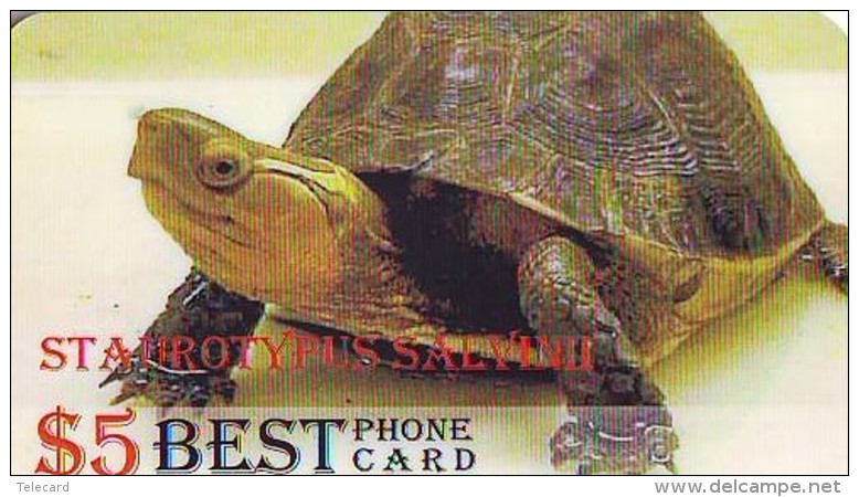 Télécarte * USA  (2375) TORTUE * TURTLE *  Phonecard * SCHILDKRÖTE * TELEFONKARTE - Turtles