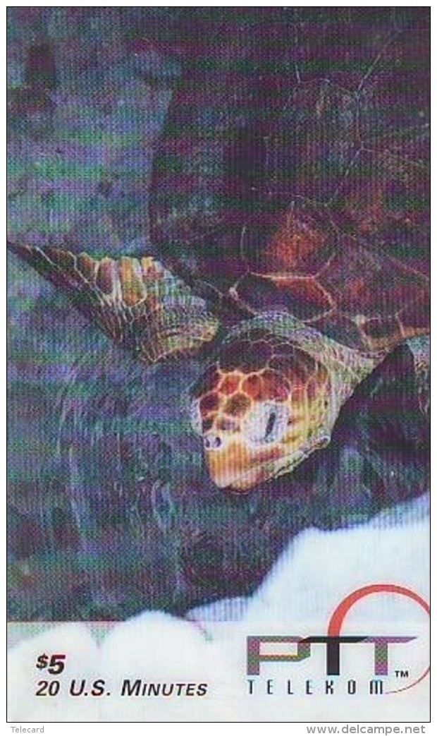 Télécarte * USA  (2379) TORTUE * TURTLE *  Phonecard * SCHILDKRÖTE * TELEFONKARTE - Tortues