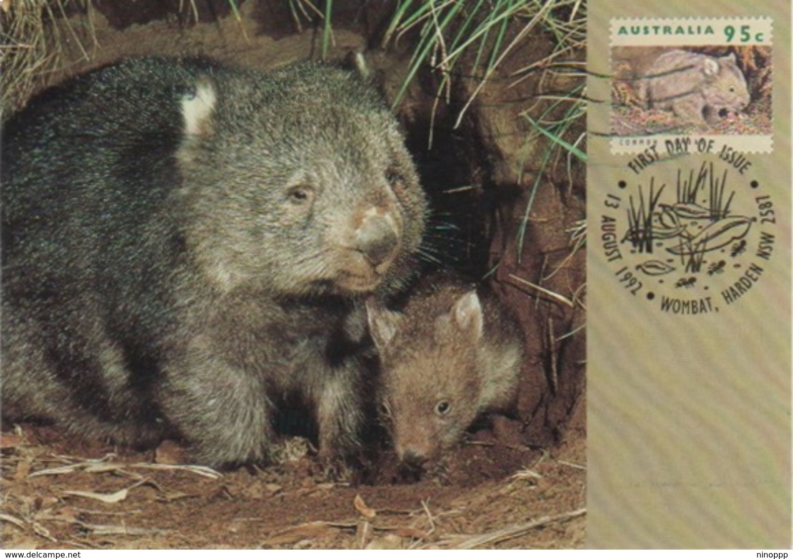 Australia 2017 Postally Used Maximum Card,sent To Italy,1992 Australain Wildlife,Common Wombat - Maximum Cards