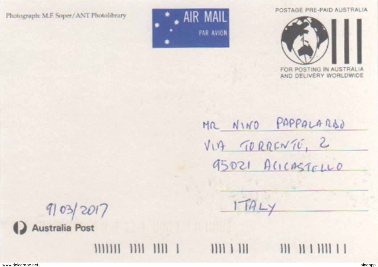 Australian Antarctic Territory 2017 Postally Used Maximum Card,Wildlife,Northern Giant Petrell - Maximum Cards