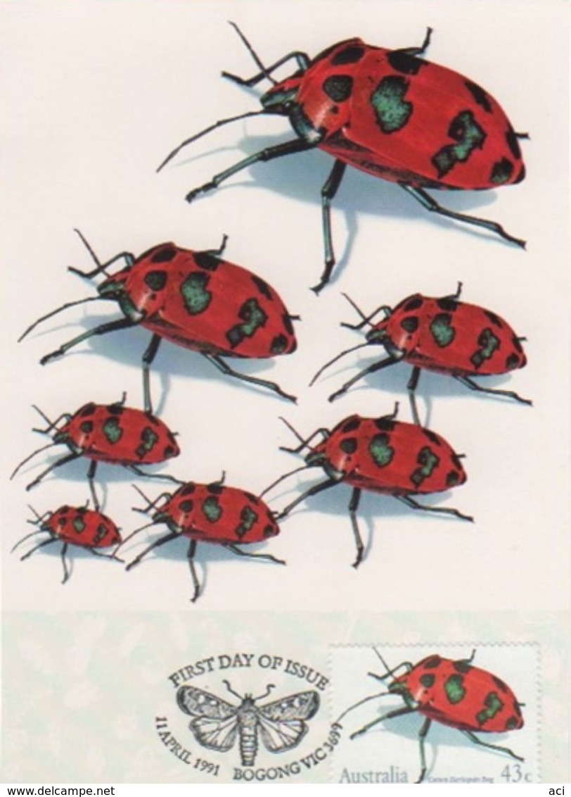 Australia 2017 Postally Used Maximum Card,sent To Italy,1991 Insect,Cotton Arlequin Bug - Maximum Cards