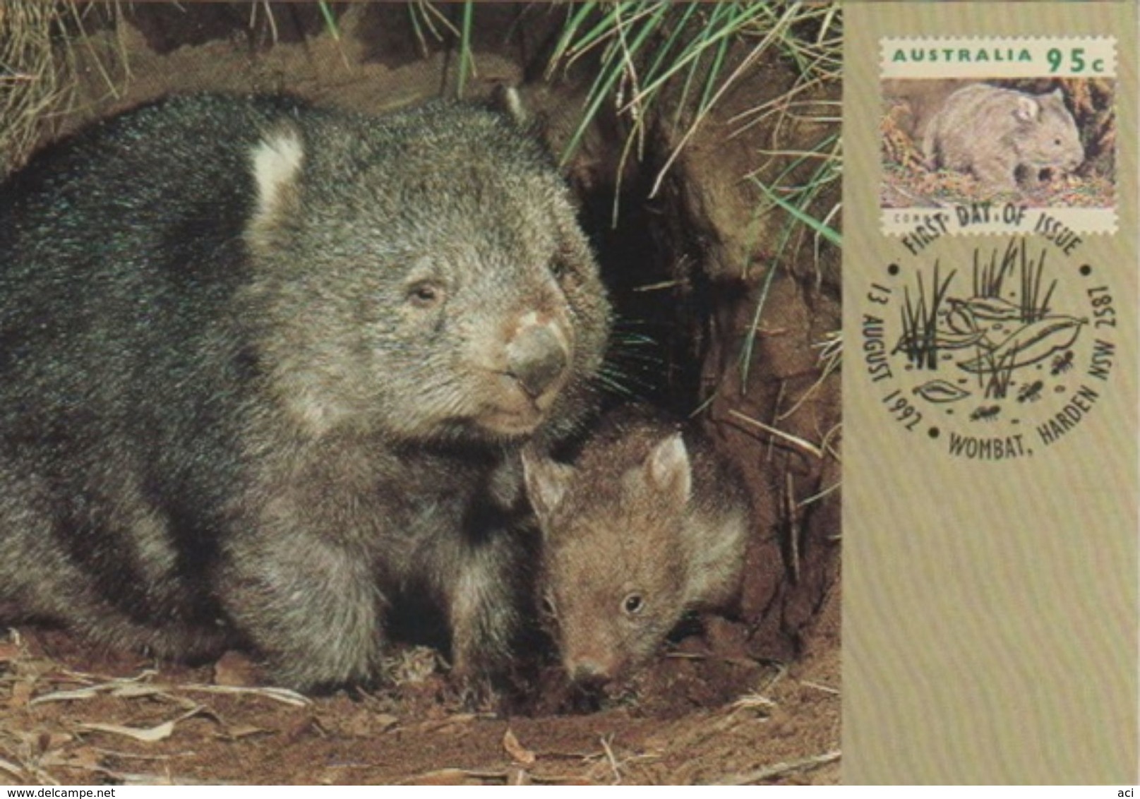 Australia 2017 Postally Used Maximum Card,sent To Italy,1992 Australain Wildlife,Common Wombat - Maximum Cards