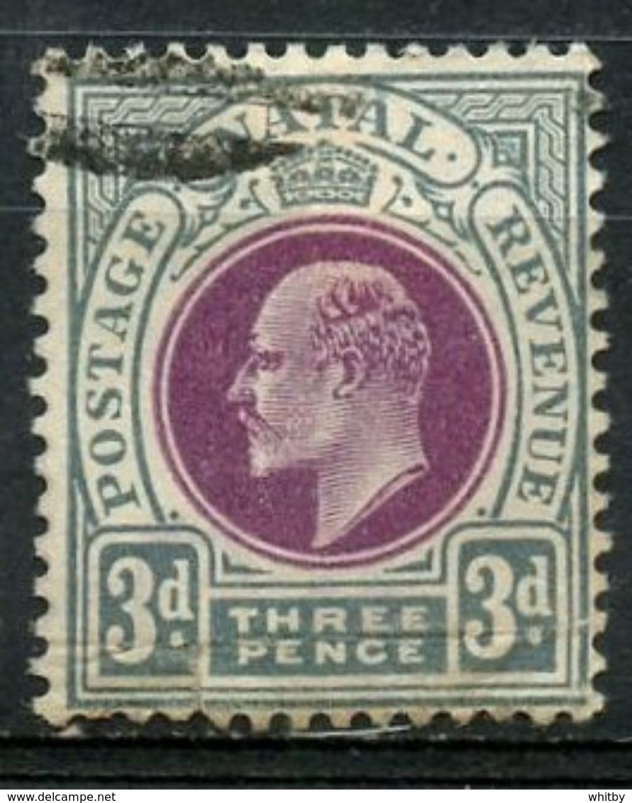 Natal 1902 3 Cent King Edward VII Issue   #86 - Natal (1857-1909)