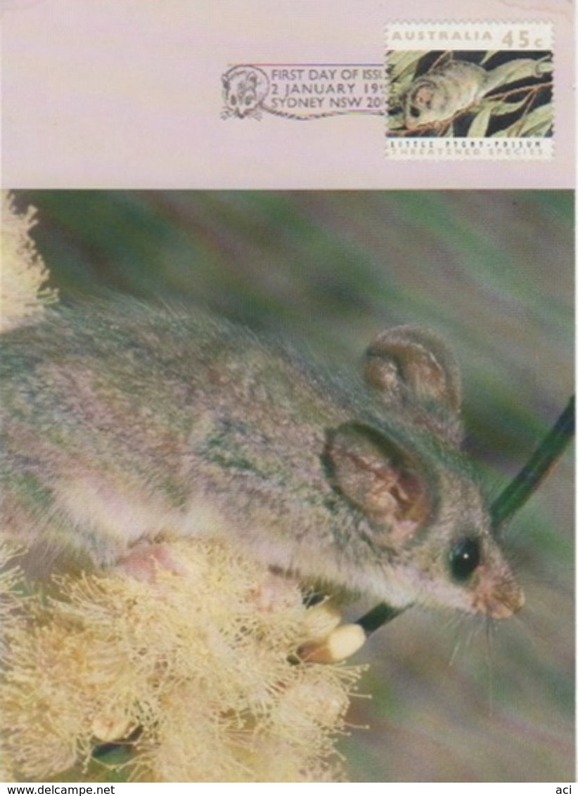 Australia 2017 Postally Used Maximum Card,sent To Italy,1992 Threatened Species,Little Pygmy-possum - Maximum Cards