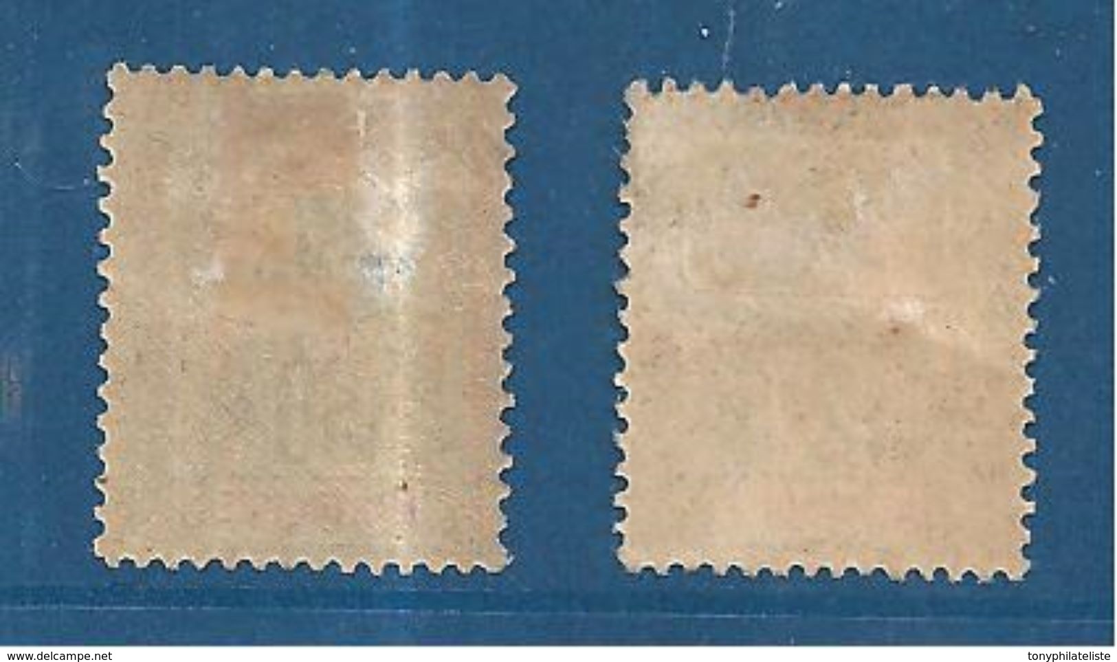 Timbres De Martinique De 1899/1906  N°49/50  Neufs *  Cote 170€ - Unused Stamps